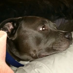 Meet your Posher, Ellen